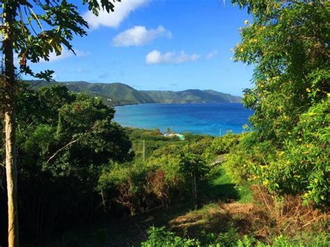 usvi zillow|british virgin islands real estate zillow.